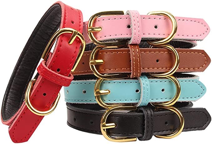 Are Leather Dog Collars Good Or Bad? Find Out Now