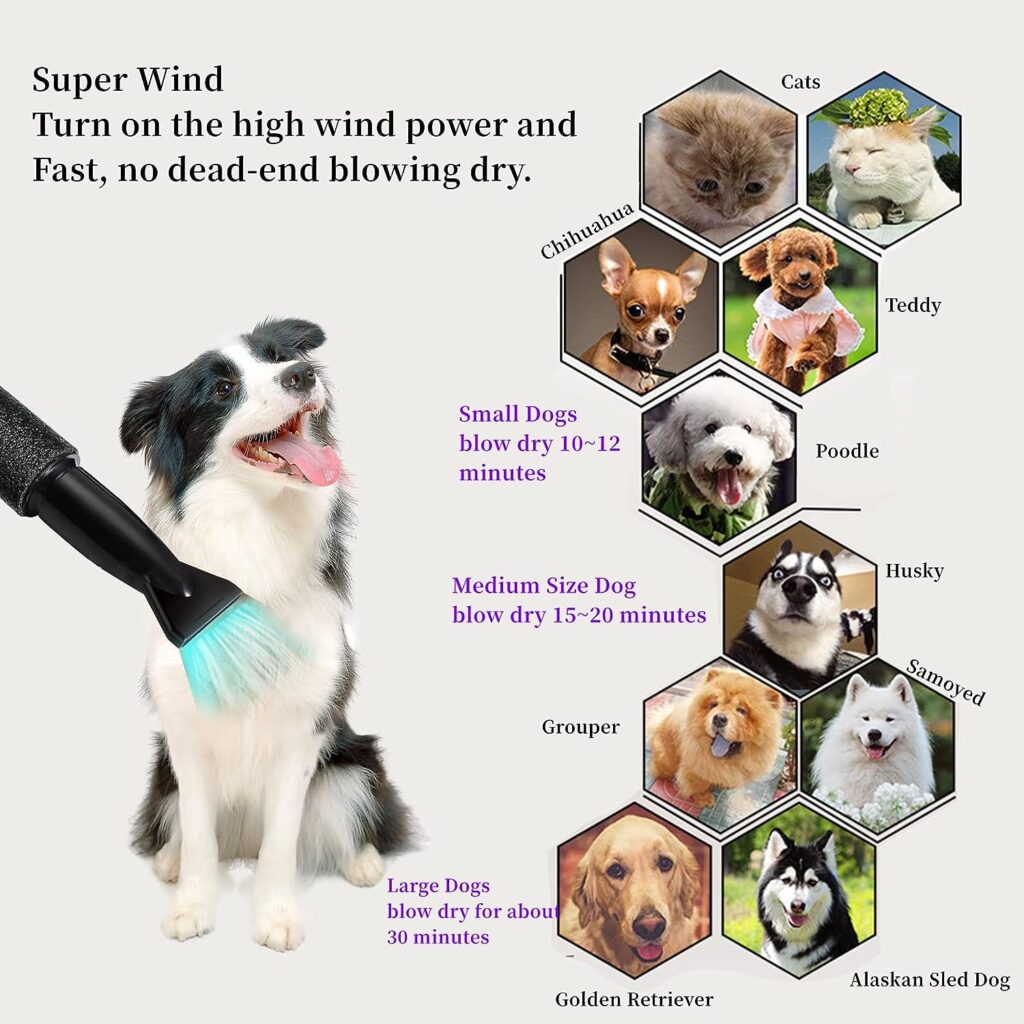 Dog Dryer, Adjustable Speed and Temperature Controlled Grooming Dryer, Pet Hair Force Dryer Dog Grooming Hair Dryer with Heater