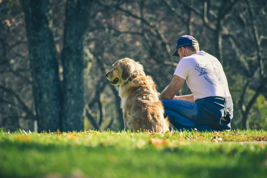 How Do Different Dog Breeds' FurShedding Levels Vary? Unveiling Dog