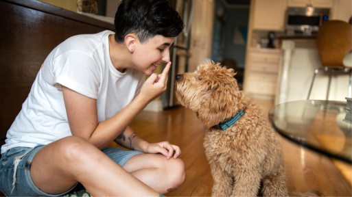 Essential Skills to Teach a Young Puppy