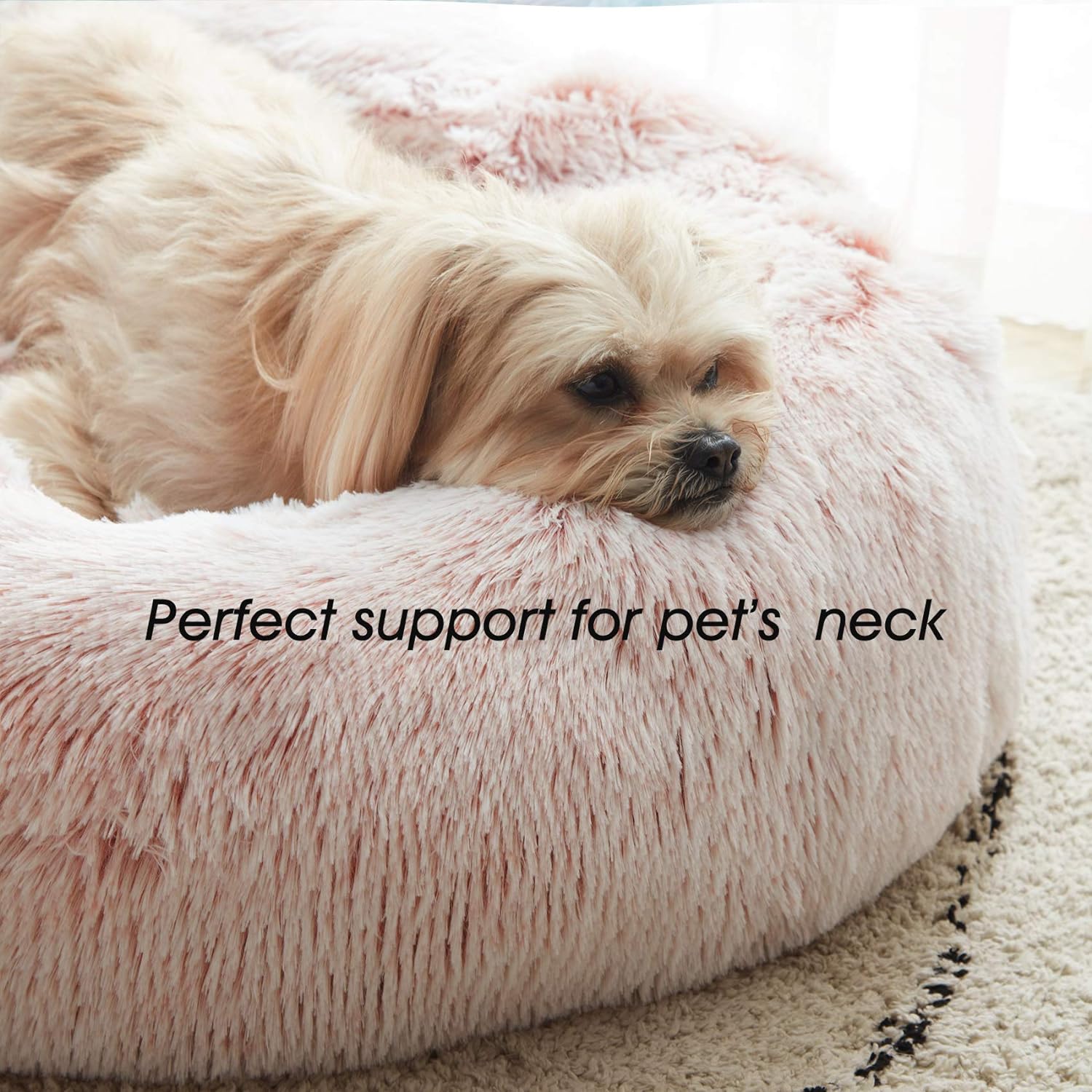 Calming Dog Bed Review - Unveiling Dog Secrets: Elevate Your Dog ...