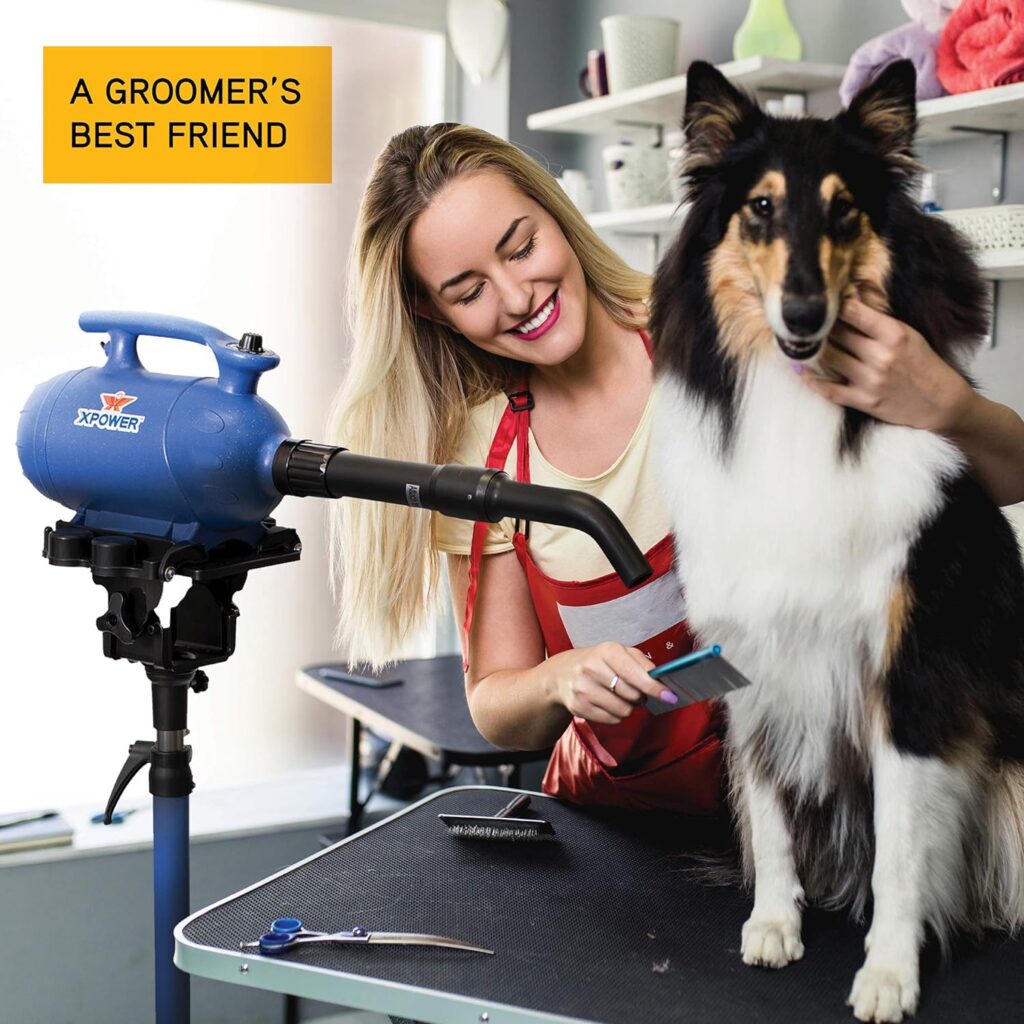 XPOWER B-24 Professional Pet Grooming Force Dryer with Powerful and Quiet Motor, Variable Speed and Extra Heat, Versatile For All Coats and Breeds