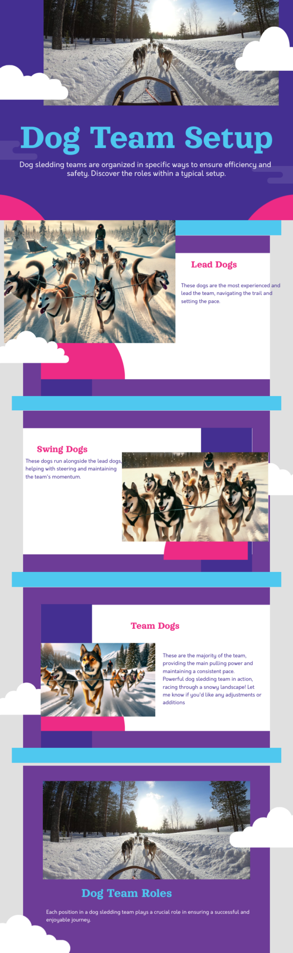 Understanding And Enjoying the Iditarod Dog Sled Race - Unveiling Dog ...